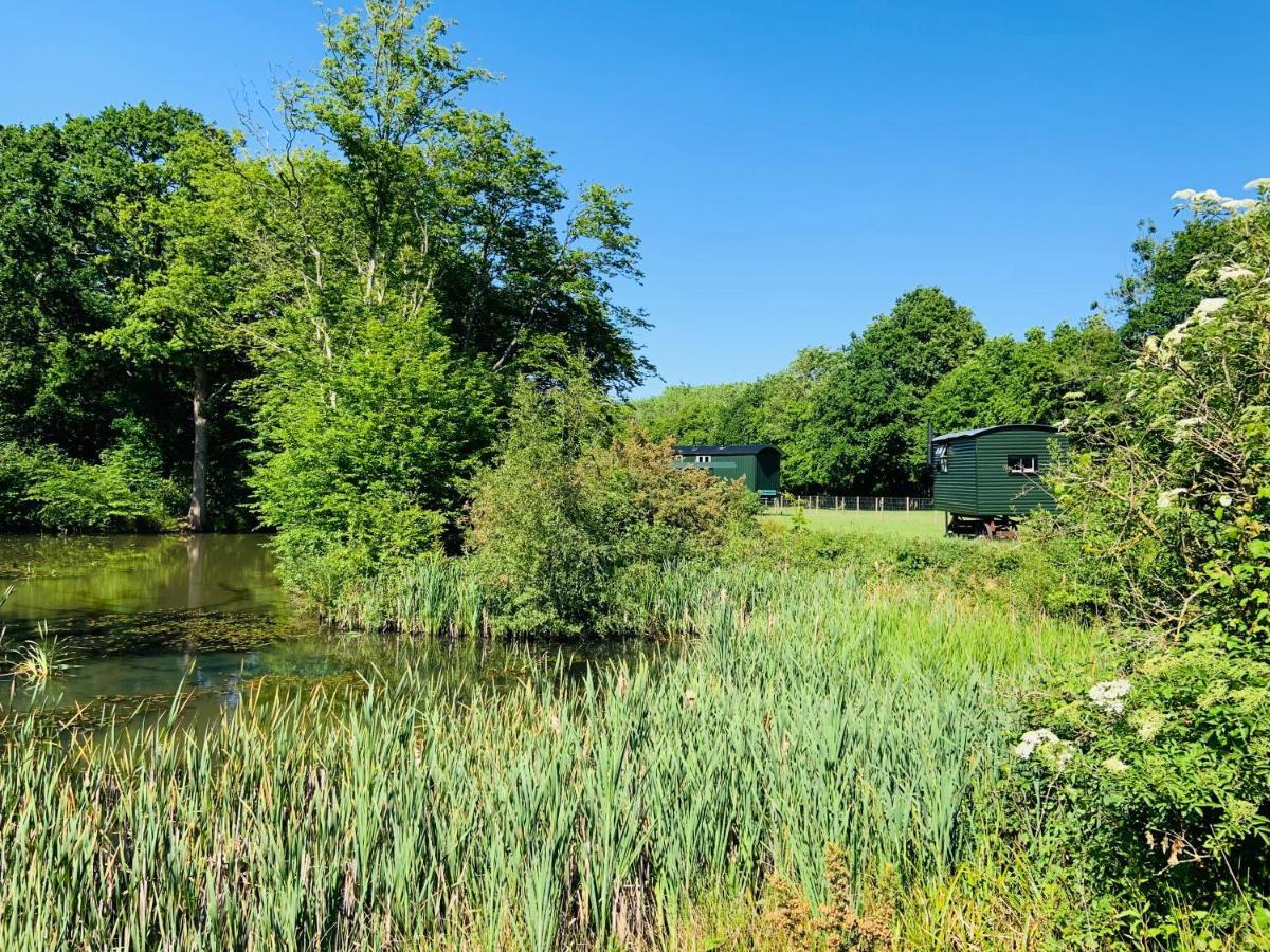 The Big Green Shepherds Hut Charlwood Exterior foto